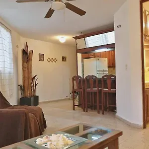 Centro Departamento Apartamento